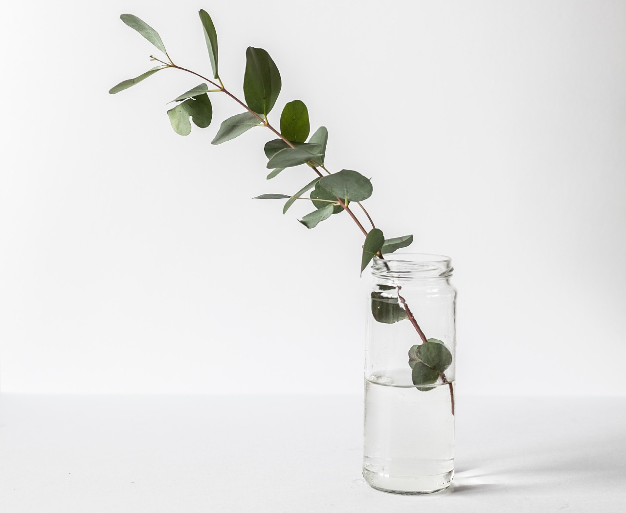 Image of a single leafy plant in a jar. Are you curious about bariatric therapy in the Orlando area 33129? Our bariatric therapist can give guidance in Winter Park, FL 33626. If you are post-bariatric surgery and want to make lasting changes start bariatric surgery counseling in Orlando, FL 33755. Contact us today in Florida. 32765