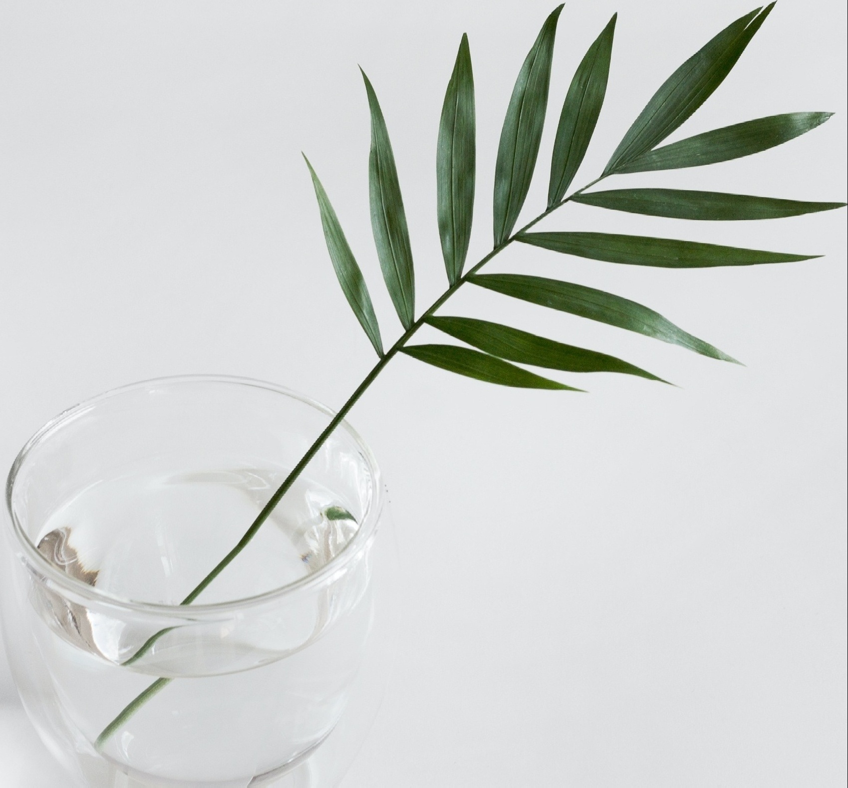 Image of a green palm leaf sitting in a glass bowl of water. Eye movement desensitization and reprocessing can help reduce the emotional charge of your traumatic memories. EMDR therapy will help you unlock and process memories that you might not know affect you. Call today to talk to an EMDR therapist in Orlando, FL 33601.