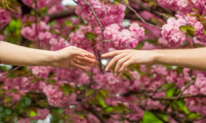 Image of tow hands reaching out for each other for support in front of pink flowers. Anxiety treatment is not one size fits all. There are several different techniques used for anxiety therapy in Winter Park, FL. An anxiety therapist can help decide which modality is the right choice for you. Reach out today!