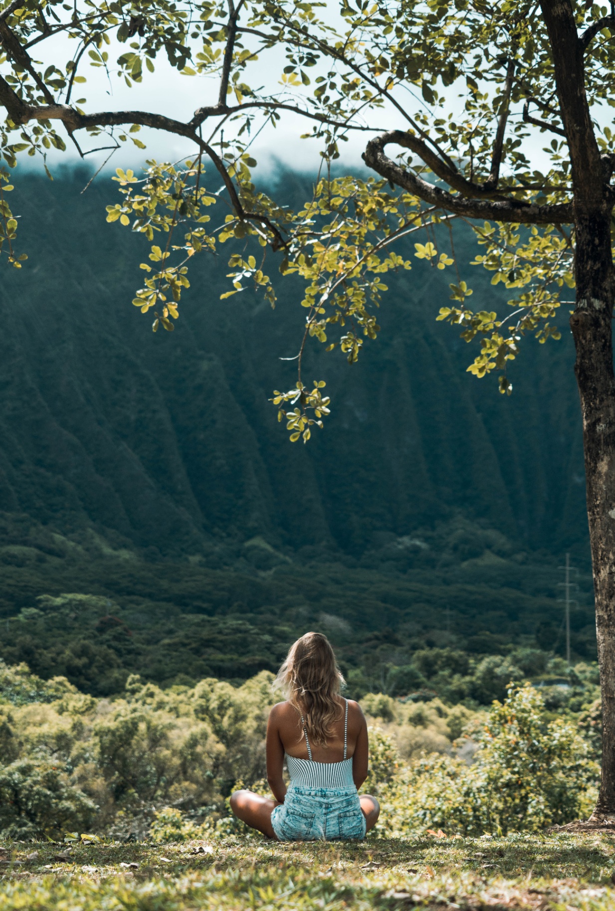 A woman meditating by a tree. Representing the Mindfulness-Based techniques The Mindful Practice therapist will teach their clients in Orlando, FL, and virtually across the state of Florida.