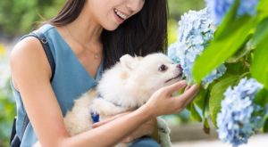 Image of a woman holding a white dog smelling blue flowers. This shows that through trauma therapy in Winter Park, FL with an Orlando therapist you can feel better. Counseling can address your trauma symptoms so you can enjoy the little things like smelling the flowers again.